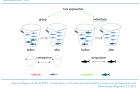 Group and individual approach to quantifying passage-related injuries at a hydropower site
