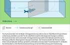 Neigungsrichtungen und für die Leitfunktion relevante Anströmwinkel von Fischschutzrechen